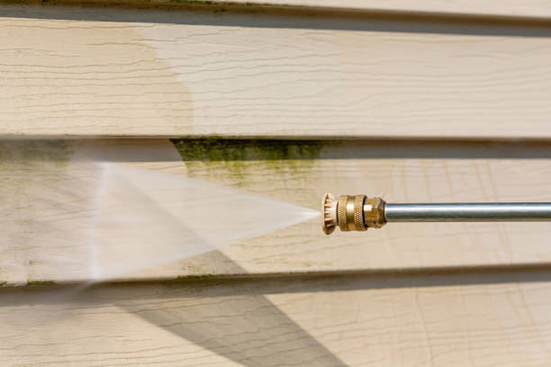 Best Affordable Power Washing  in Aurora, IN